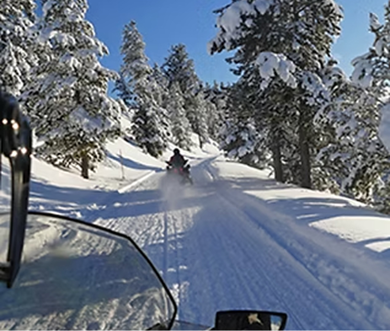 Snowmobiler riding a groomed trail through snow-covered pines near Two Harbors